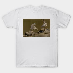 Spoonbill 08 T-Shirt